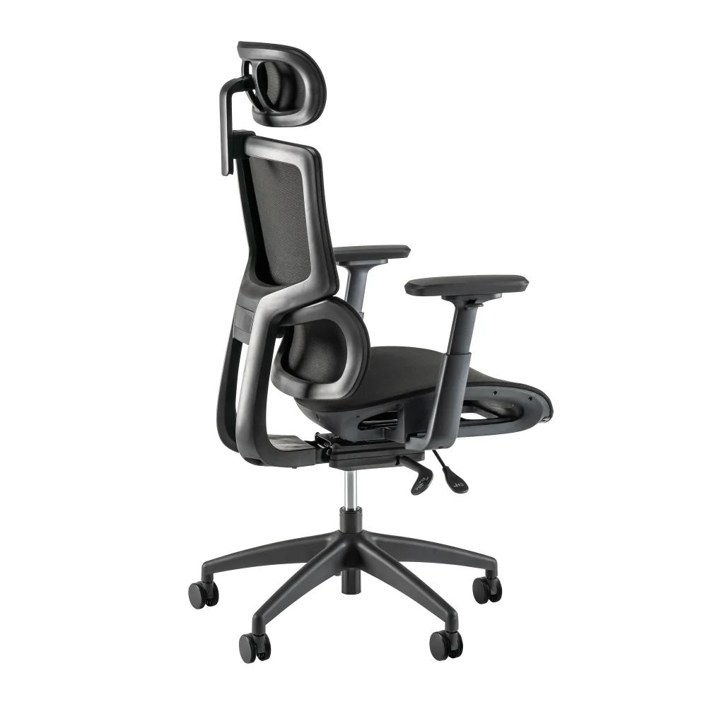Align High Back Ergonomic Office Chair with Lumbar Support - Image 3