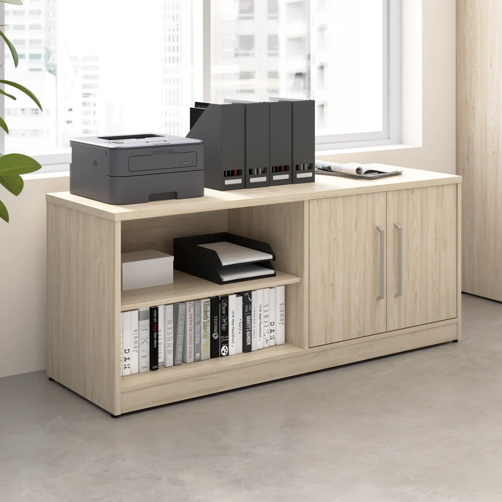 Vista Low Storage Cabinet with Doors and Shelves - Image 7
